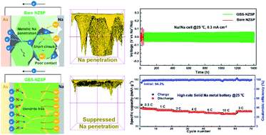 Graphical abstract: Optimizing the Na metal/solid electrolyte interface through a grain boundary design