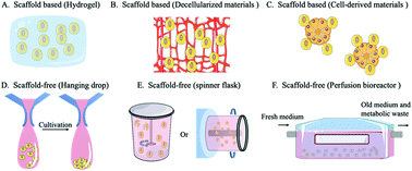 Graphical abstract: Engineering strategies to achieve efficient in vitro expansion of haematopoietic stem cells: development and improvement