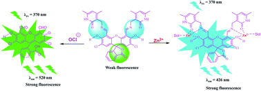 Graphical abstract: Dual-mode chemosensor for the fluorescence detection of zinc and hypochlorite on a fluorescein backbone and its cell-imaging applications