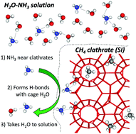 Graphical abstract: Reply to the ‘Comment on Cage occupancy of methane clathrate hydrates in the ternary H2O–NH3–CH4 system’ by S. Alavi and J. Ripmeester, Chem. Commun., 2022, 58, DOI: 10.1039/D1CC06526B