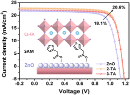 Graphical abstract: Highly efficient and stable ZnO-based perovskite solar cells enabled by a self-assembled monolayer as the interface linker