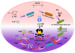 Graphical abstract: Core–shell metal–organic frameworks with pH/GSH dual-responsiveness for combined chemo–chemodynamic therapy