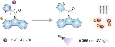 Graphical abstract: Self-contained photo-acid generators with high quantum yields triggered by photo-cyclization