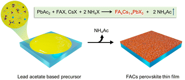 Graphical abstract: Efficient and stable formamidinium–caesium perovskite solar cells and modules from lead acetate-based precursors