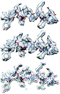Graphical abstract: Application of super-resolution and correlative double sampling in cryo-electron microscopy
