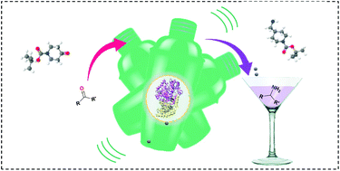 Graphical abstract: Mechanoenzymatic reactions with whole cell transaminases: shaken, not stirred