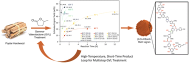 Graphical abstract: Poplar lignin structural changes during extraction in γ-valerolactone (GVL)