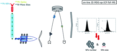 Graphical abstract: Size determination of nanoparticles by ICP-ToF-MS using isotope dilution in microdroplets