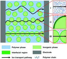 Graphical abstract: Ion transport in composite polymer electrolytes