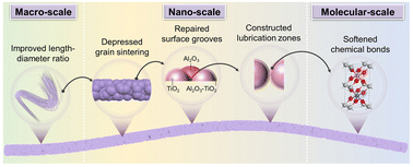 Graphical abstract: Flexible-in-rigid polycrystalline titanium nanofibers: a toughening strategy from a macro-scale to a molecular-scale