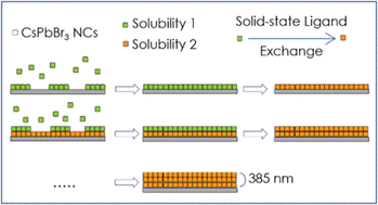 Graphical abstract: Layer-by-layer assembly of CsPbX3 nanocrystals into large-scale homostructures