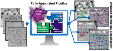Graphical abstract: Creating ground truth for nanocrystal morphology: a fully automated pipeline for unbiased transmission electron microscopy analysis