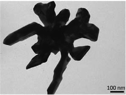 Graphical abstract: Nanosupernova: a new anisotropic nanostructure for SERS