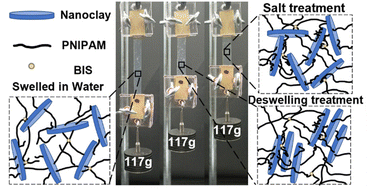 Graphical abstract: Self-strengthening stimuli-responsive nanocomposite hydrogels