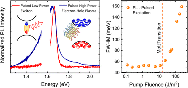 Graphical abstract: Ultrafast hot electron–hole plasma photoluminescence in two-dimensional semiconductors