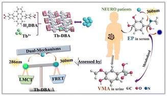 Graphical abstract: A light-operated dual-mode method for neuroblastoma diagnosis based on a Tb-MOF: from biometabolite detection to logic devices