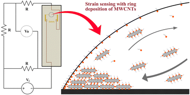 Graphical abstract: Effect of surfactant concentration on the evaporation-driven deposition of carbon nanotubes: from coffee-ring effect to strain sensing