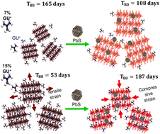 Graphical abstract: Balanced change in crystal unit cell volume and strain leads to stable halide perovskite with high guanidinium content