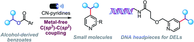 Graphical abstract: Metal-free deoxygenative coupling of alcohol-derived benzoates and pyridines for small molecules and DNA-encoded libraries synthesis