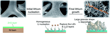 Graphical abstract: Towards understanding the nucleation and growth mechanism of Li dendrites on zinc oxide-coated nickel electrodes