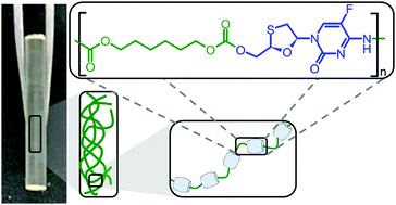 Graphical abstract: Linear and branched polymer prodrugs of the water-soluble nucleoside reverse-transcriptase inhibitor emtricitabine as structural materials for long-acting implants