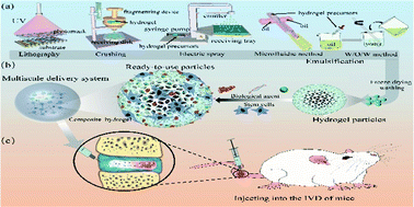 Graphical abstract: Aggressive strategies for regenerating intervertebral discs: stimulus-responsive composite hydrogels from single to multiscale delivery systems