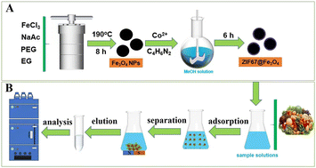 Graphical abstract: ZIF-67-modified magnetic nanoparticles for extraction of phenoxy carboxylic acid herbicides