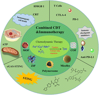 Graphical abstract: Nanomedicine for combination of chemodynamic therapy and immunotherapy of cancers