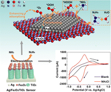 Graphical abstract: Electrochemical sensing mechanism of ammonium ions over an Ag/TiO2 composite electrode modified by hematite