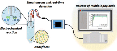 Graphical abstract: Real-time monitoring of the release of multiple payloads from nanomaterials