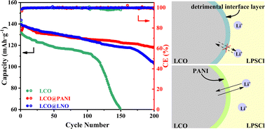 Graphical abstract: Stabilizing the oxide cathode/sulfide solid electrolyte interface via a novel polyaniline coating prepared by ball milling