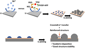 Graphical abstract: Embedding alloying sites in a lithiated polymer matrix as a stable interphase of lithium electrodes