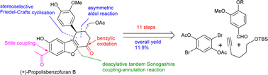 Graphical abstract: Asymmetric total synthesis of (+)-propolisbenzofuran B