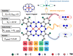 Graphical abstract: Revealing the origin of activity in phthalocyanine-based dual-metal sites towards electrochemical nitric oxide reduction