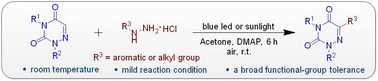 Graphical abstract: Photoinduced arylation or alkylation of 1,2,4-triazine-3,5(2H,4H)-diones with hydrazines