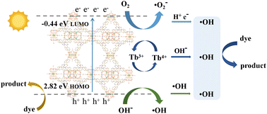 Graphical abstract: A porous and photoactive Ti-MOF based on a novel tetranuclear [Ti2Tb2] cluster