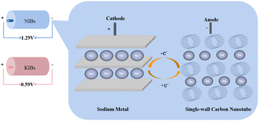 Graphical abstract: Optimizing cell voltage dependence on size of carbon nanotube-based electrodes in Na-ion and K-ion batteries