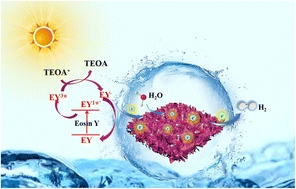 Graphical abstract: Integrating Co(OH)2 nanosheet arrays on graphene for efficient noble-metal-free EY-sensitized photocatalytic H2 evolution