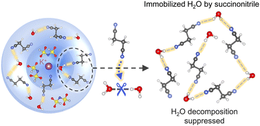 Graphical abstract: Hydrogen-bond regulation in organic/aqueous hybrid electrolyte for safe and high-voltage K-ion batteries