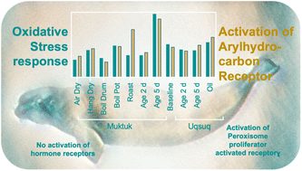 Graphical abstract: Mixture effect assessment applying in vitro bioassays to in-tissue silicone extracts of traditional foods prepared from beluga whale blubber