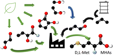 Graphical abstract: Methionine and its hydroxy analogues: the paths toward their sustainable chemical synthesis