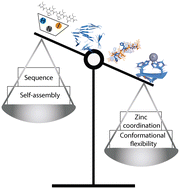 Graphical abstract: Factors influencing the catalytic activity of metal-dependent histidine-rich peptides: sequence, conformation, stereochemistry, self-assembly or their interplay?