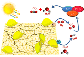 Graphical abstract: Synergism of Co/Na in BiVO4 microstructures for visible-light driven degradation of toxic dyes in water