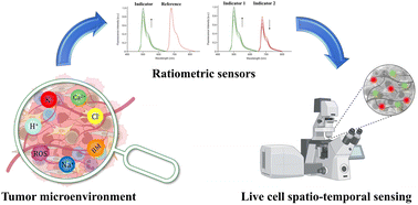 Graphical abstract: Fluorescent nano- and microparticles for sensing cellular microenvironment: past, present and future applications