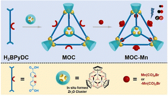 Graphical abstract: A biocompatible Mn-decorated metal–organic cage with sustainable CO release