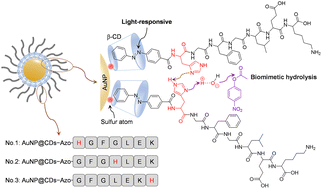 Graphical abstract: Tuning the enzyme-like activity of peptide–nanoparticle conjugates with amino acid sequences