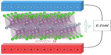 Graphical abstract: Charge disproportionation-induced multiferroics and electric field control of magnetism in a 2D MXene – Mo2NCl2