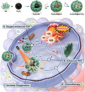 Graphical abstract: Oxygen self-supplying small size magnetic nanoenzymes for synergistic photodynamic and catalytic therapy of breast cancer