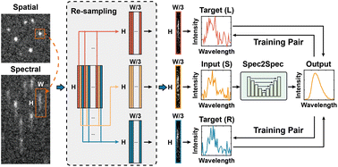 Graphical abstract: Deep-learning-assisted spectroscopic single-molecule localization microscopy based on spectrum-to-spectrum denoising