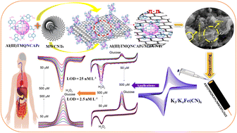 Graphical abstract: Novel decorated aluminium(iii) phthalocyanine complex with the application of MWCNTs on electrodes: electrochemical non-enzymatic oxidation and reduction of glucose and hydrogen peroxide